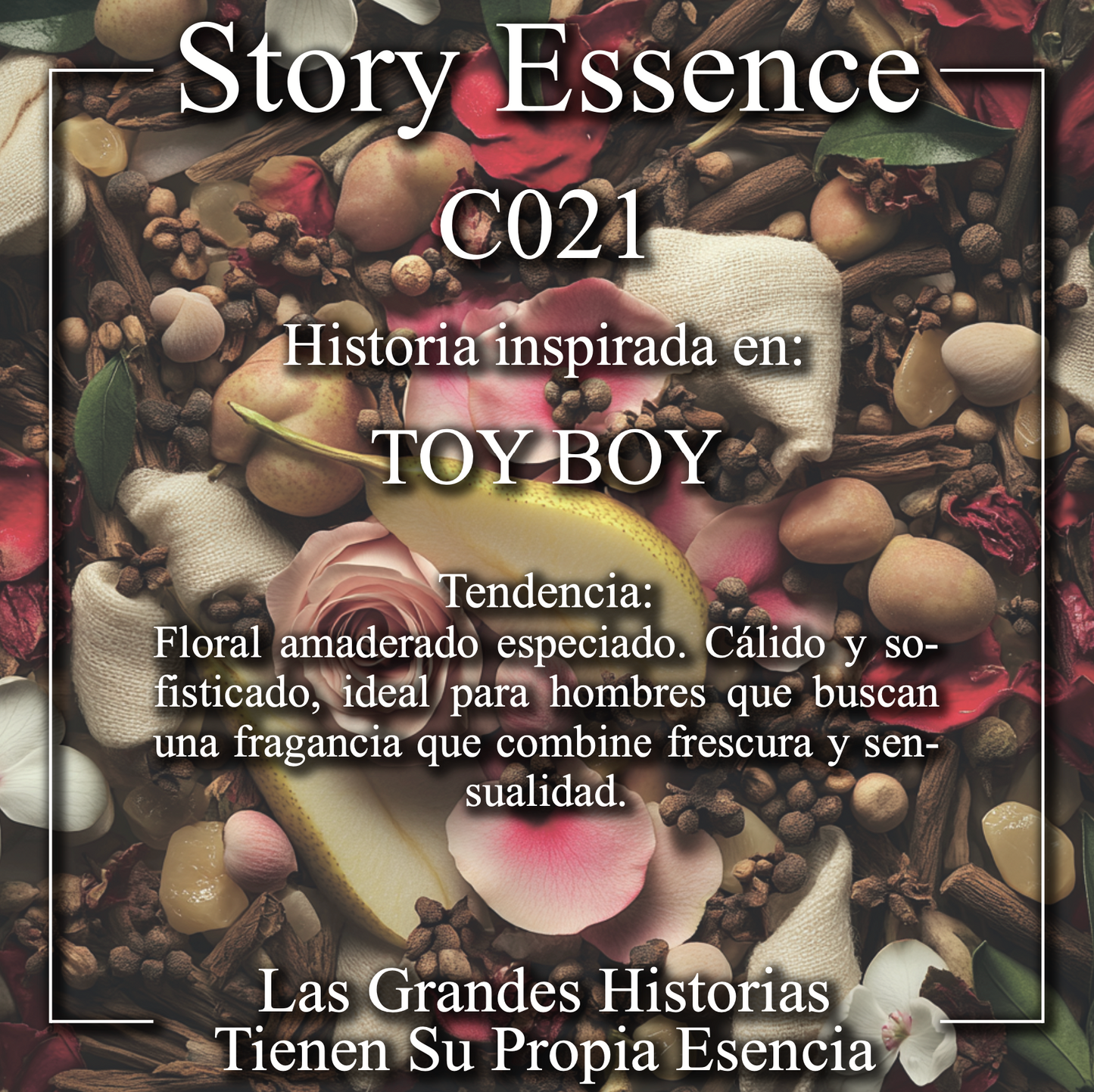 C021 - Inspirado en Toy Boy