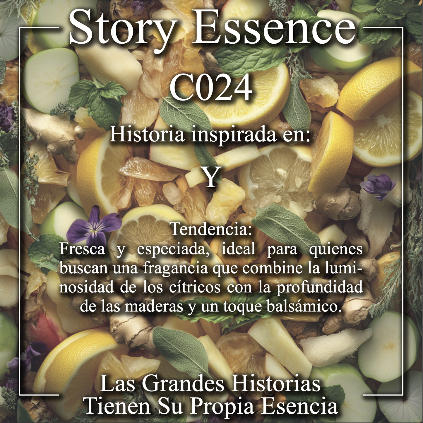 C024 - Inspirado en Y