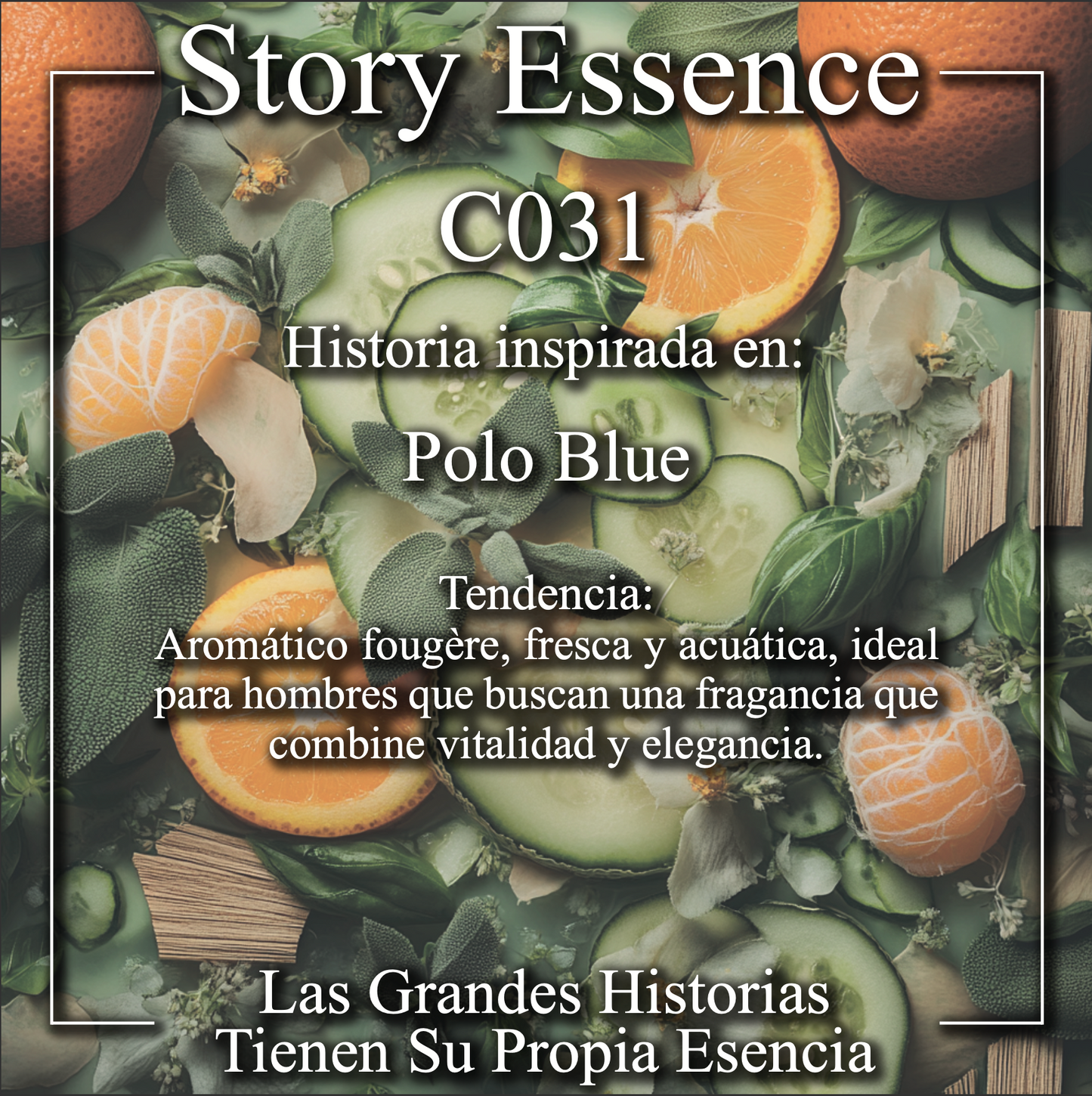 C031 - Inspirado en Polo Blue