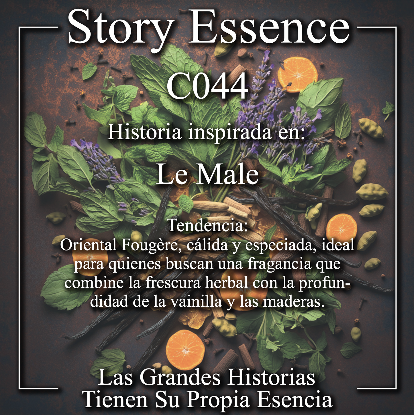 C044 - Inspirado en Le Male