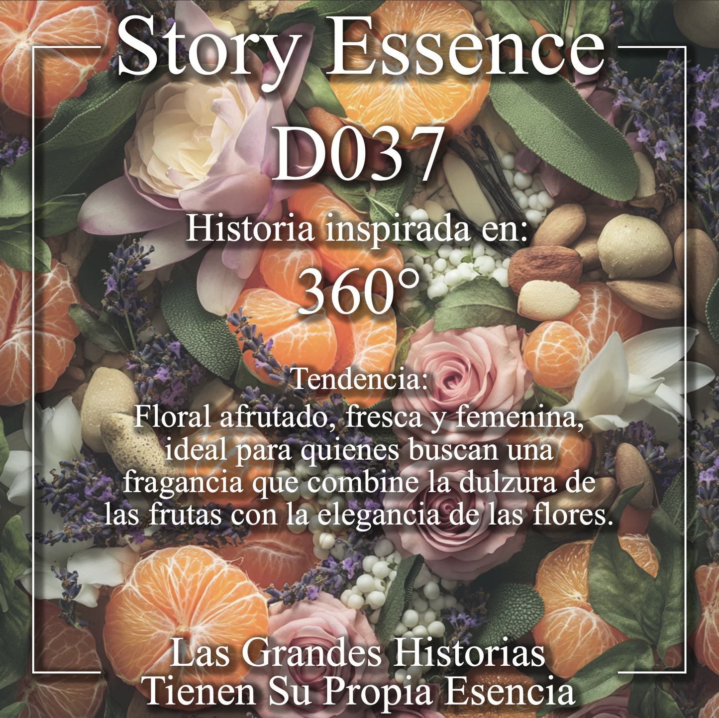 D037 - Inspirado en 360°