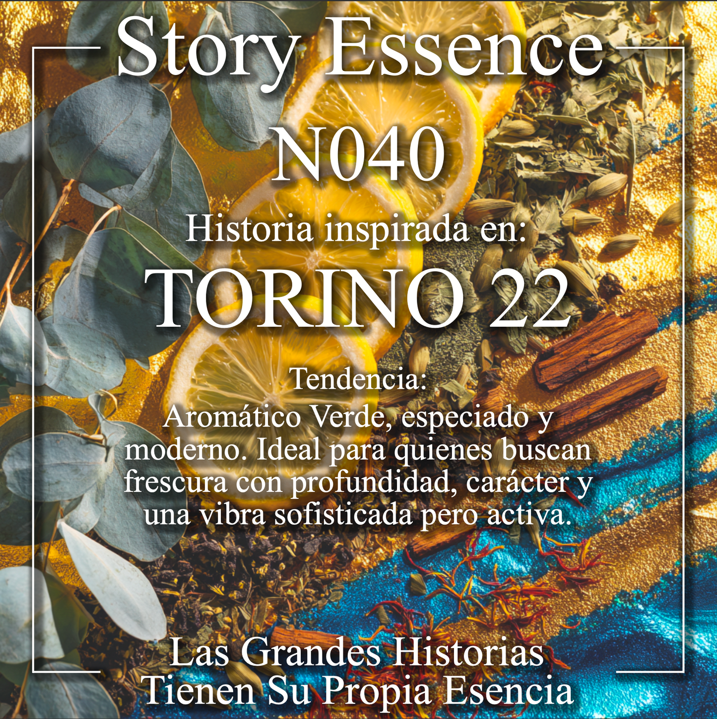 N040 - Inspirado en Torino 22