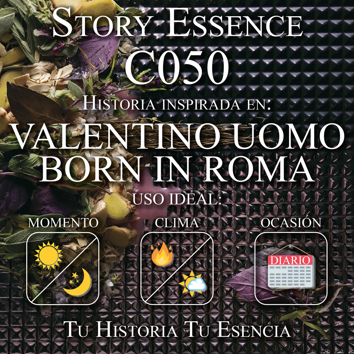 C050 - Inspirado en Uomo Born in Roma