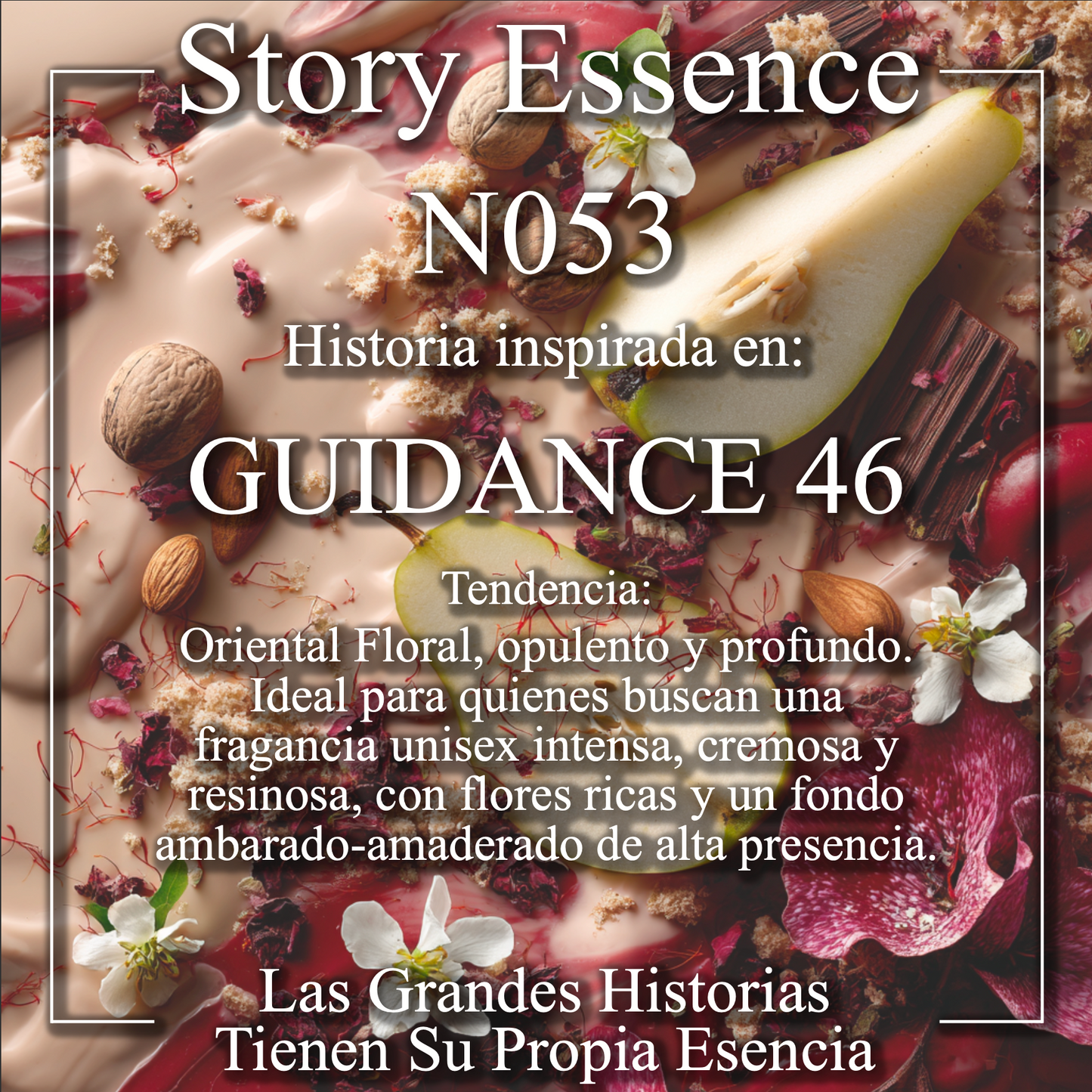 N053  - Inspirado en Guidance 46