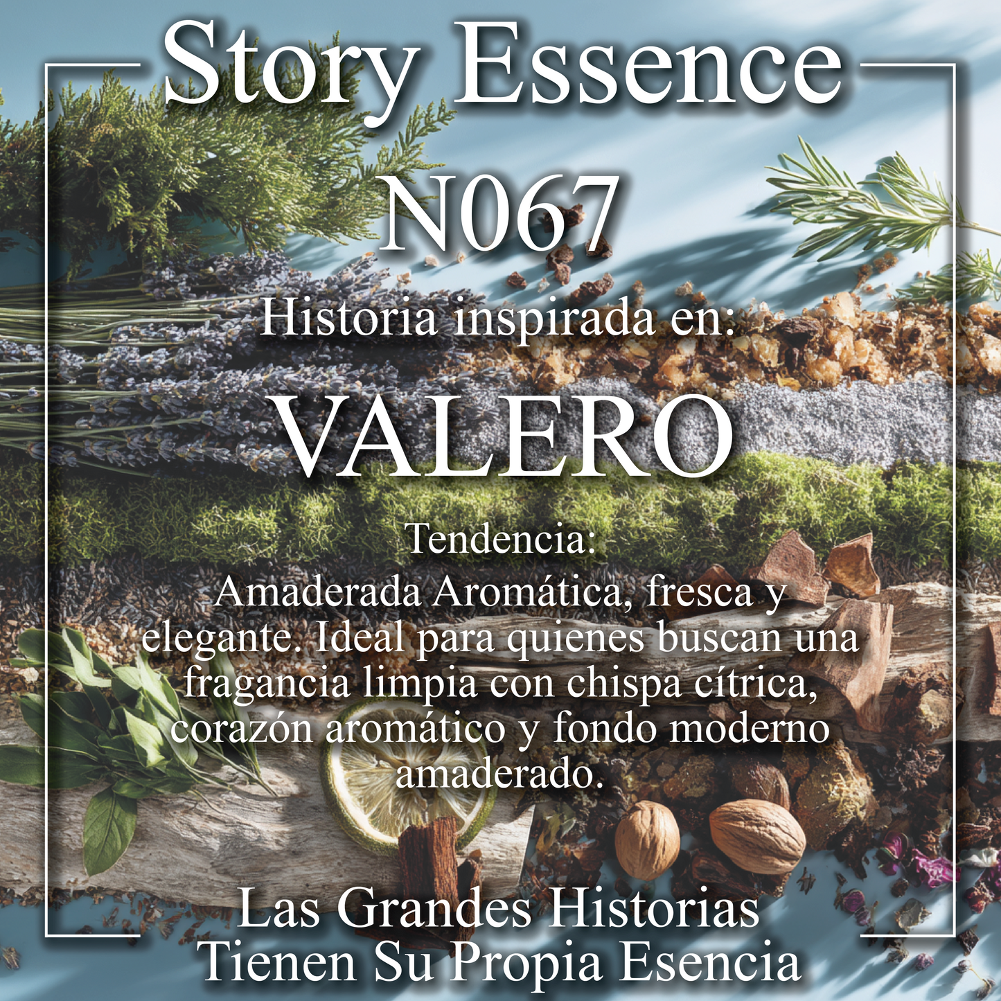N067  - Inspirado en Valero